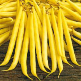 ГРЕЧАНКА