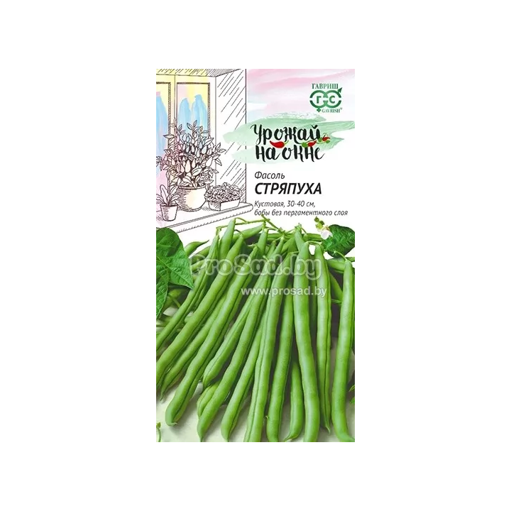 СТРЯПУХА