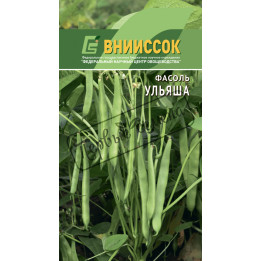 УЛЬЯША