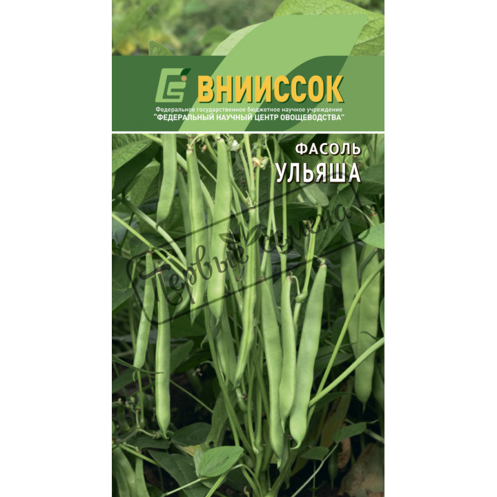 УЛЬЯША