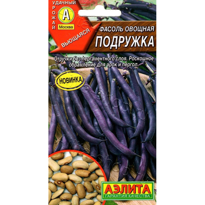 ПОДРУЖКА