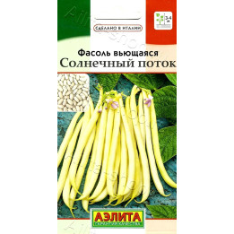 СОЛНЕЧНАЯ