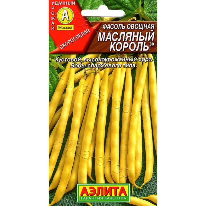 МАСЛЯНЫЙ КОРОЛЬ