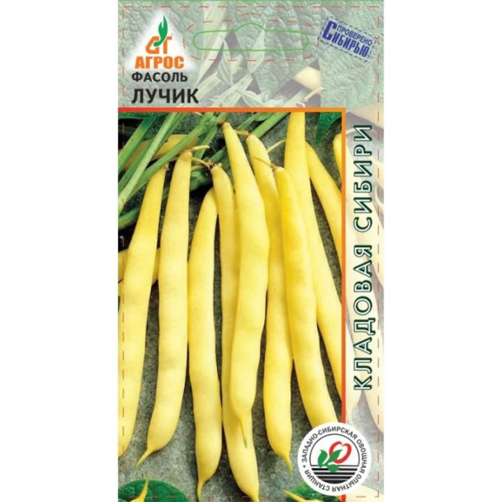 ЛУЧИК