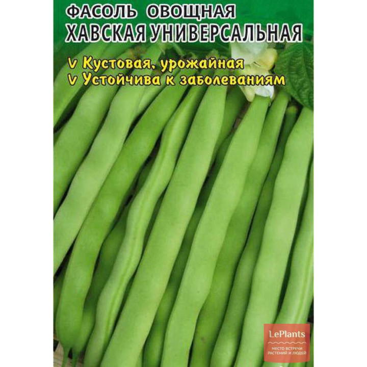 ХАВСКАЯ УНИВЕРСАЛЬНАЯ