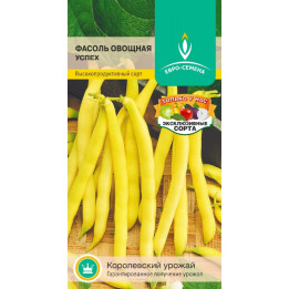 УСПЕХ