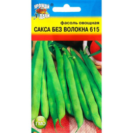 УДАЧА
