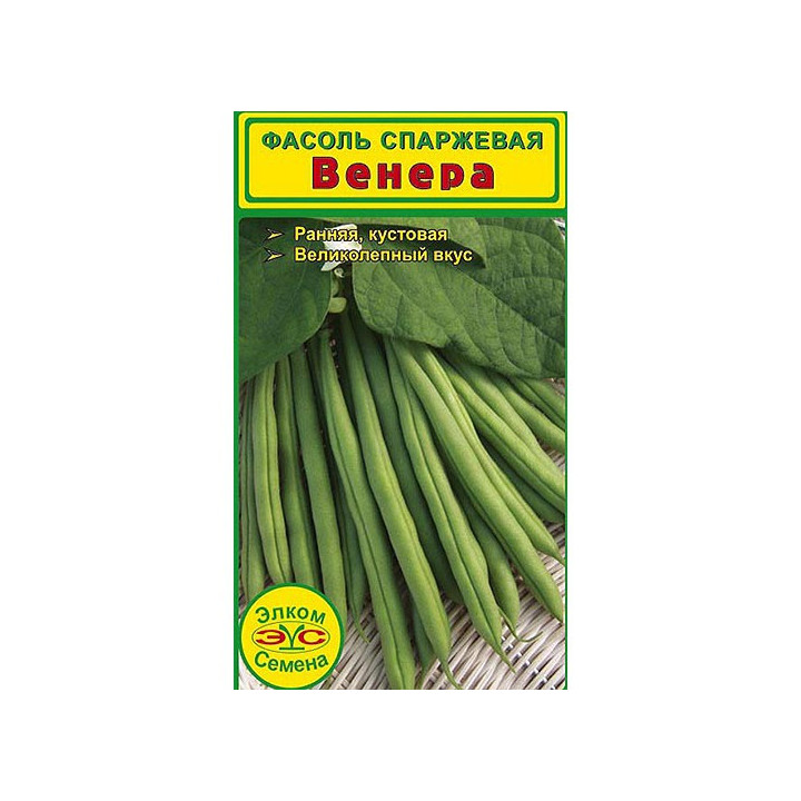 ВЕНЕРА