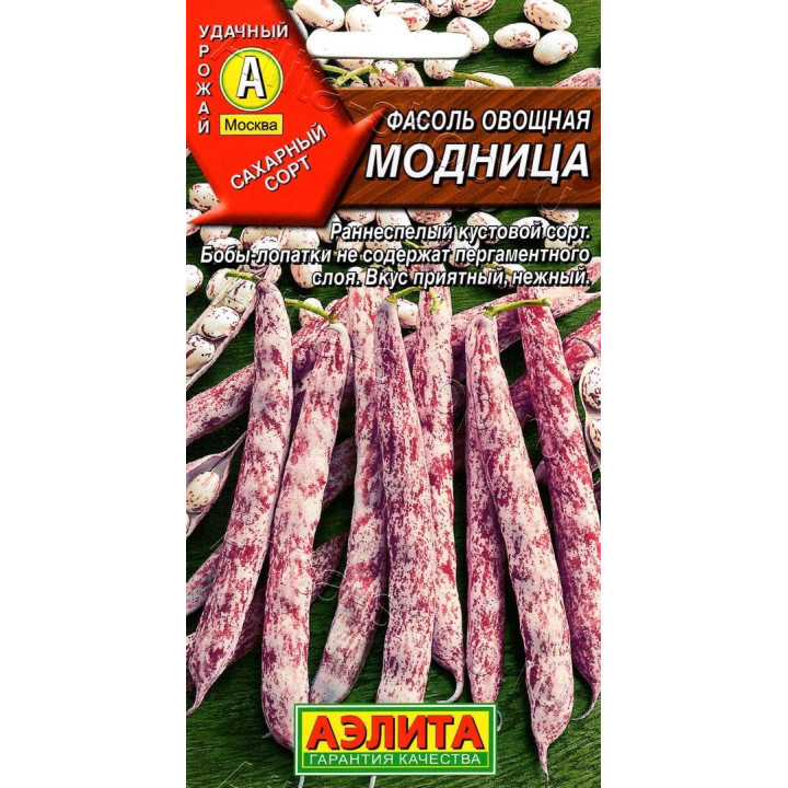 МОДНИЦА