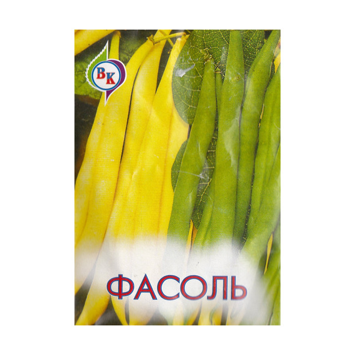 СОЛНЫШКО
