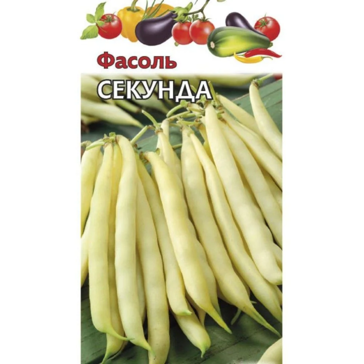 СЕКУНДА