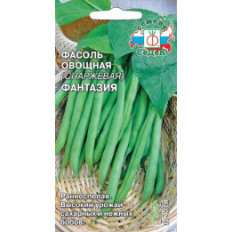 ФАНТАЗИЯ