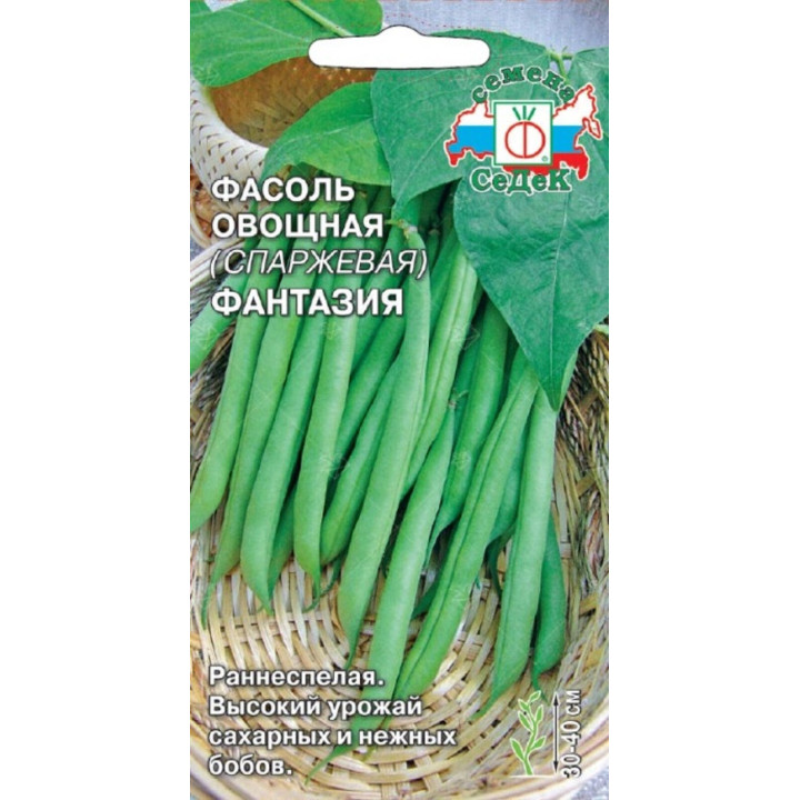 ФАНТАЗИЯ