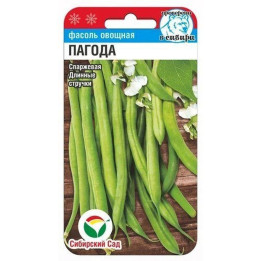 ПАГОДА