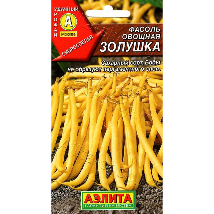 ЗОЛУШКА