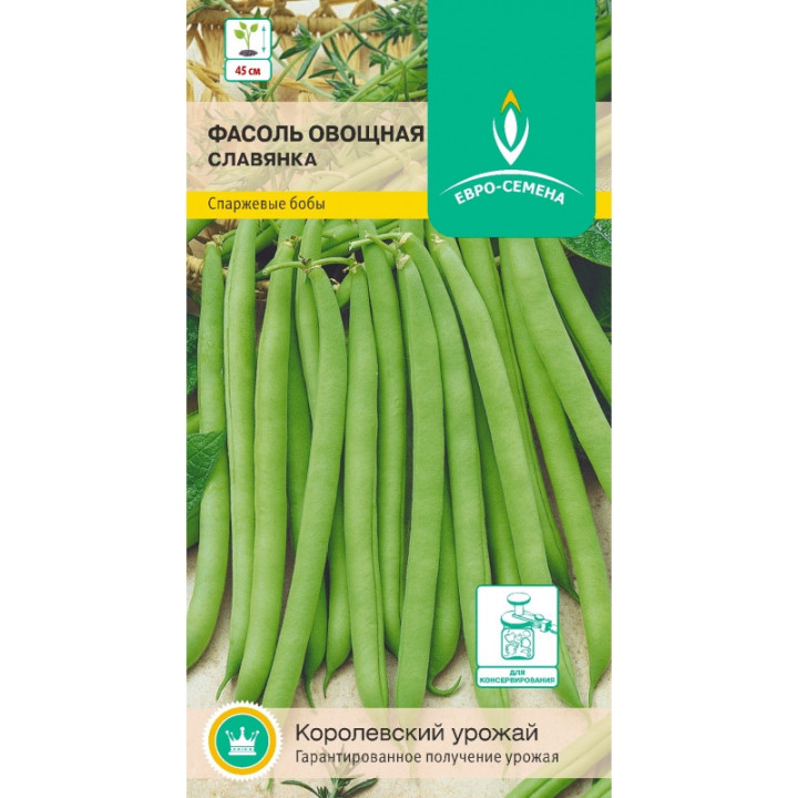 СЛАВЯНКА