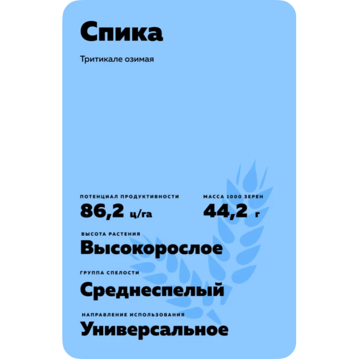 СПИКА