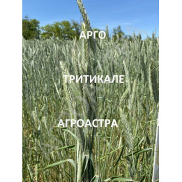 АРГО