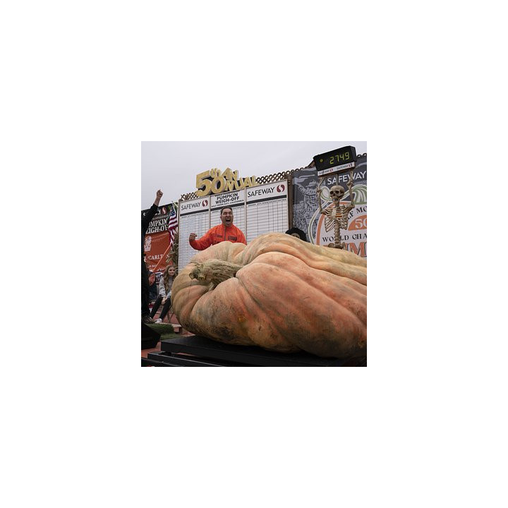 РЕКОРД