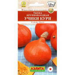 УЧИКИ КУРИ
