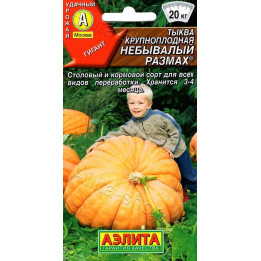 НЕБЫВАЛЫЙ РАЗМАХ