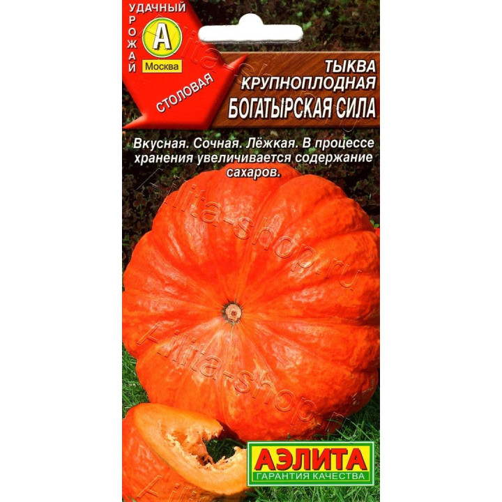БОГАТЫРСКАЯ СИЛА