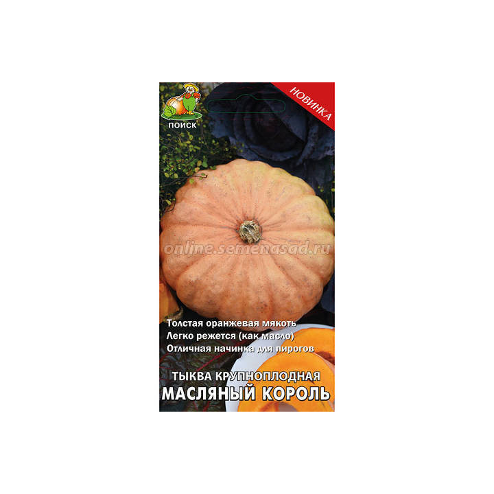 МАСЛЯНЫЙ КОРОЛЬ