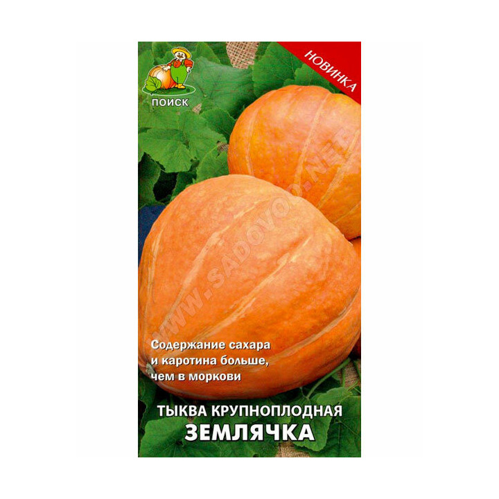 ЗЕМЛЯЧКА