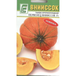 ПЕРВЕНЕЦ ВНИИССОК