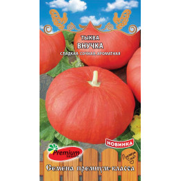 ВНУЧКА