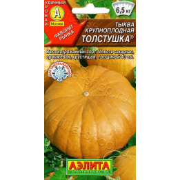 ТОЛСТУШКА