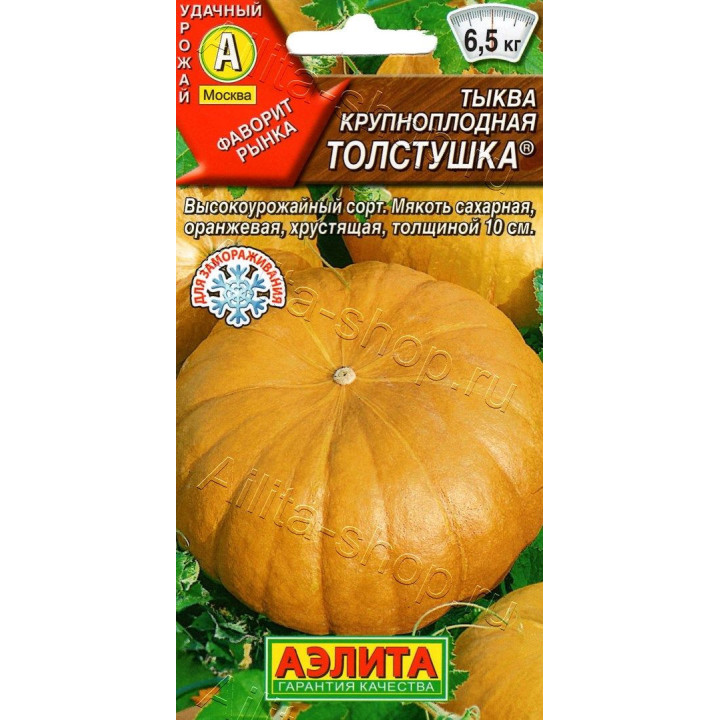 ТОЛСТУШКА
