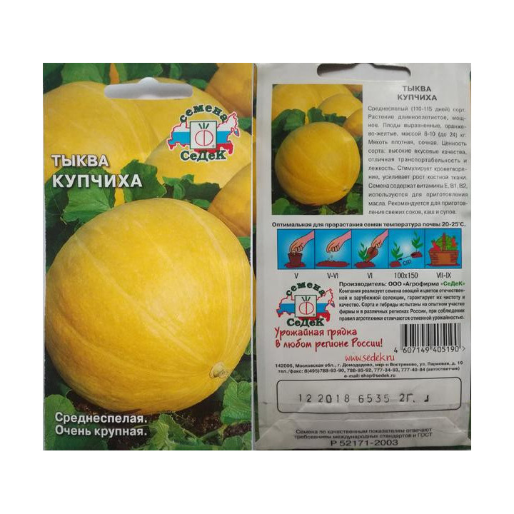 КУПЧИХА