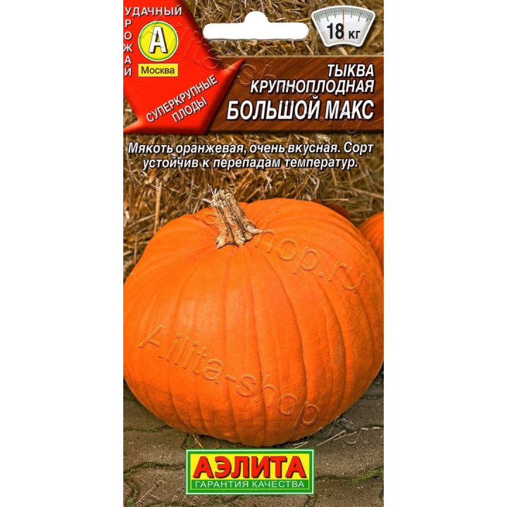 БОЛЬШОЙ МАКС