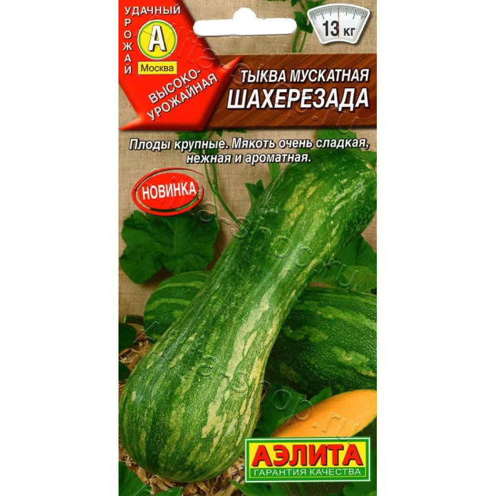 ШАХЕРЕЗАДА
