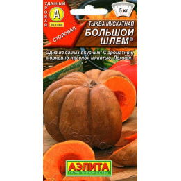 БОЛЬШОЙ ШЛЕМ