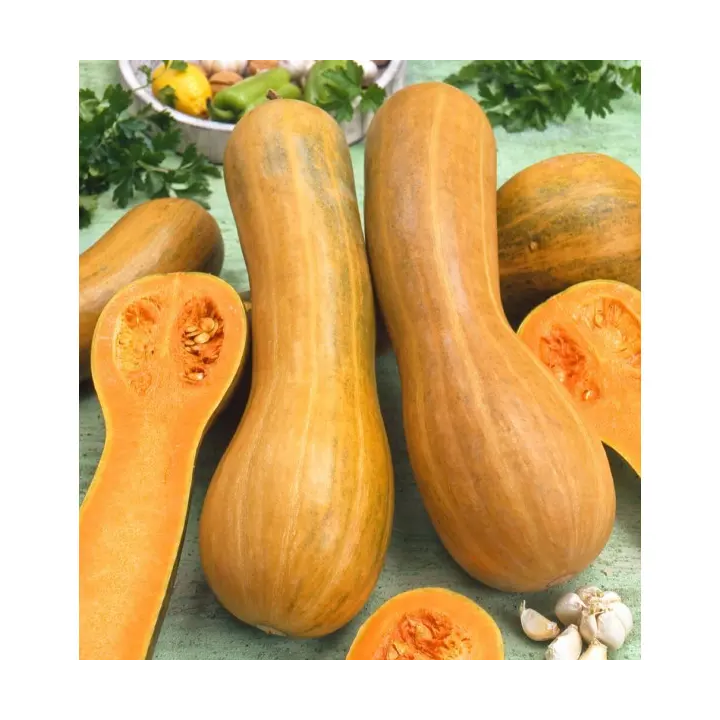 АРАБАТСКАЯ