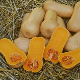 ПЛУТО