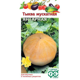 ЯНТАРНАЯ