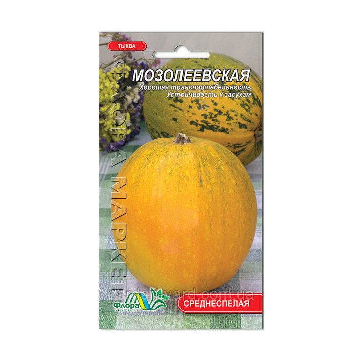 МОЗОЛЕЕВСКАЯ 49