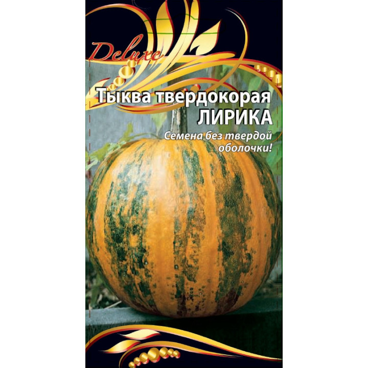 ЛИРИКА