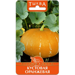 КУСТОВАЯ ОРАНЖЕВАЯ