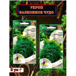 БАЛКОННОЕ ЧУДО