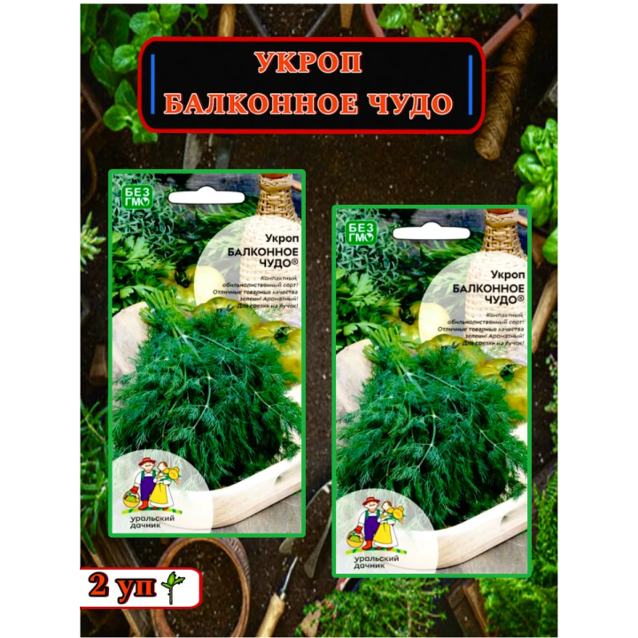 БАЛКОННОЕ ЧУДО