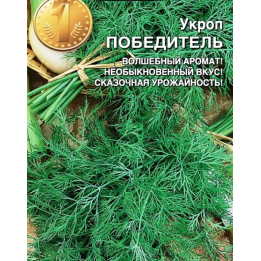 ПОБЕДИТЕЛЬ