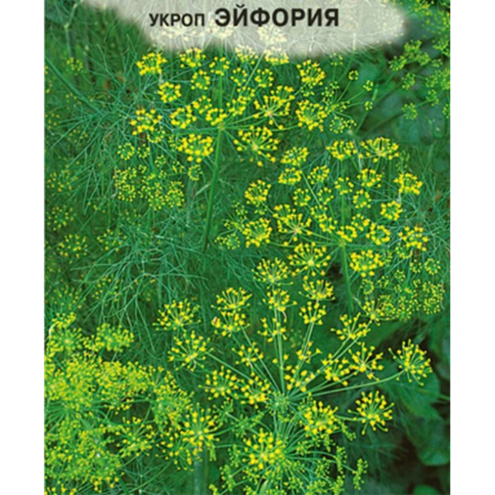 ЭЙФОРИЯ