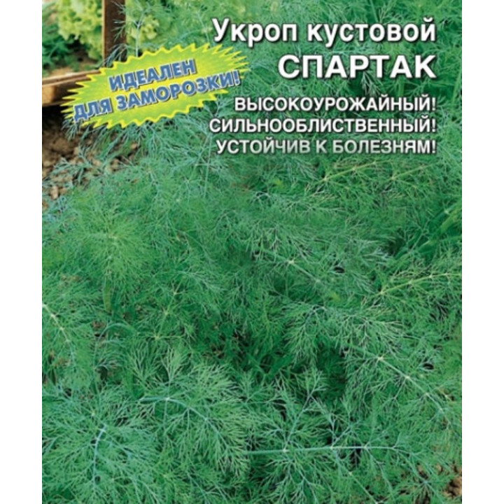 СПАРТАК