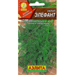 ЭЛЕФАНТ