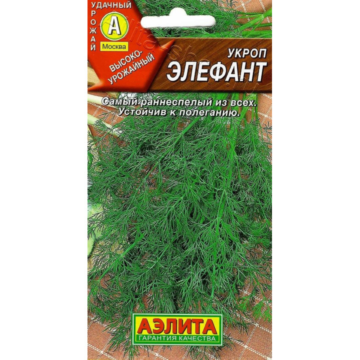 ЭЛЕФАНТ
