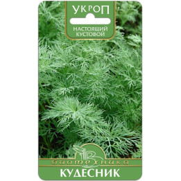 КУДЕСНИК